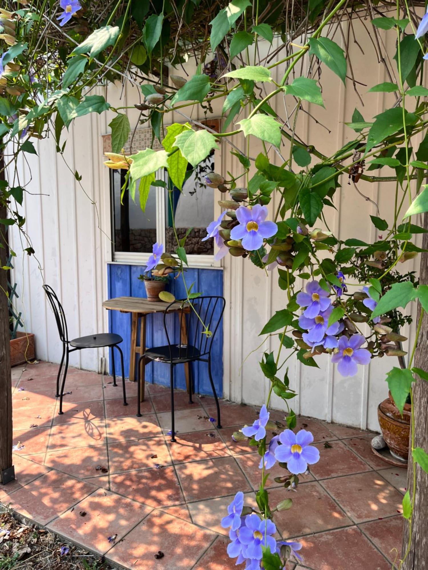 Hostal Giardino Di Sicilia SantʼAgata di Militello Exterior foto