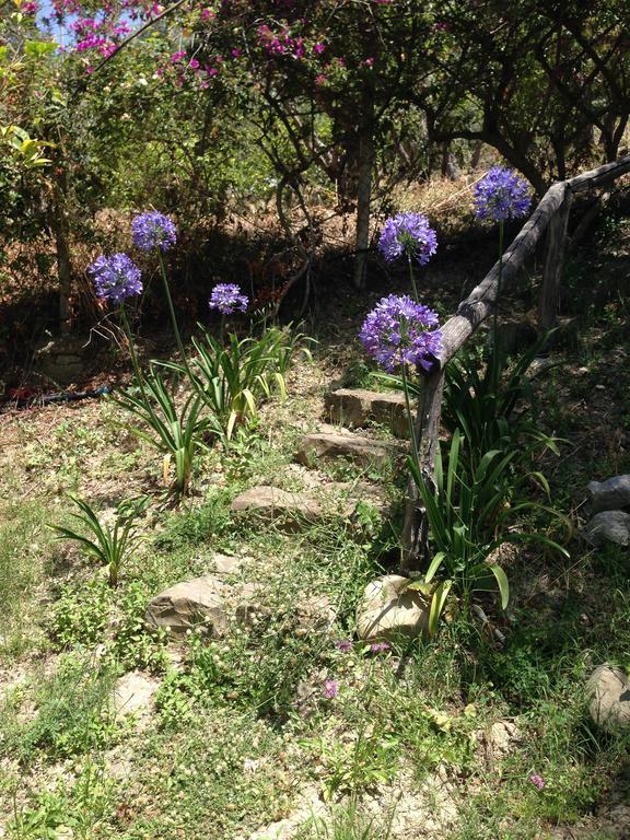 Hostal Giardino Di Sicilia SantʼAgata di Militello Exterior foto
